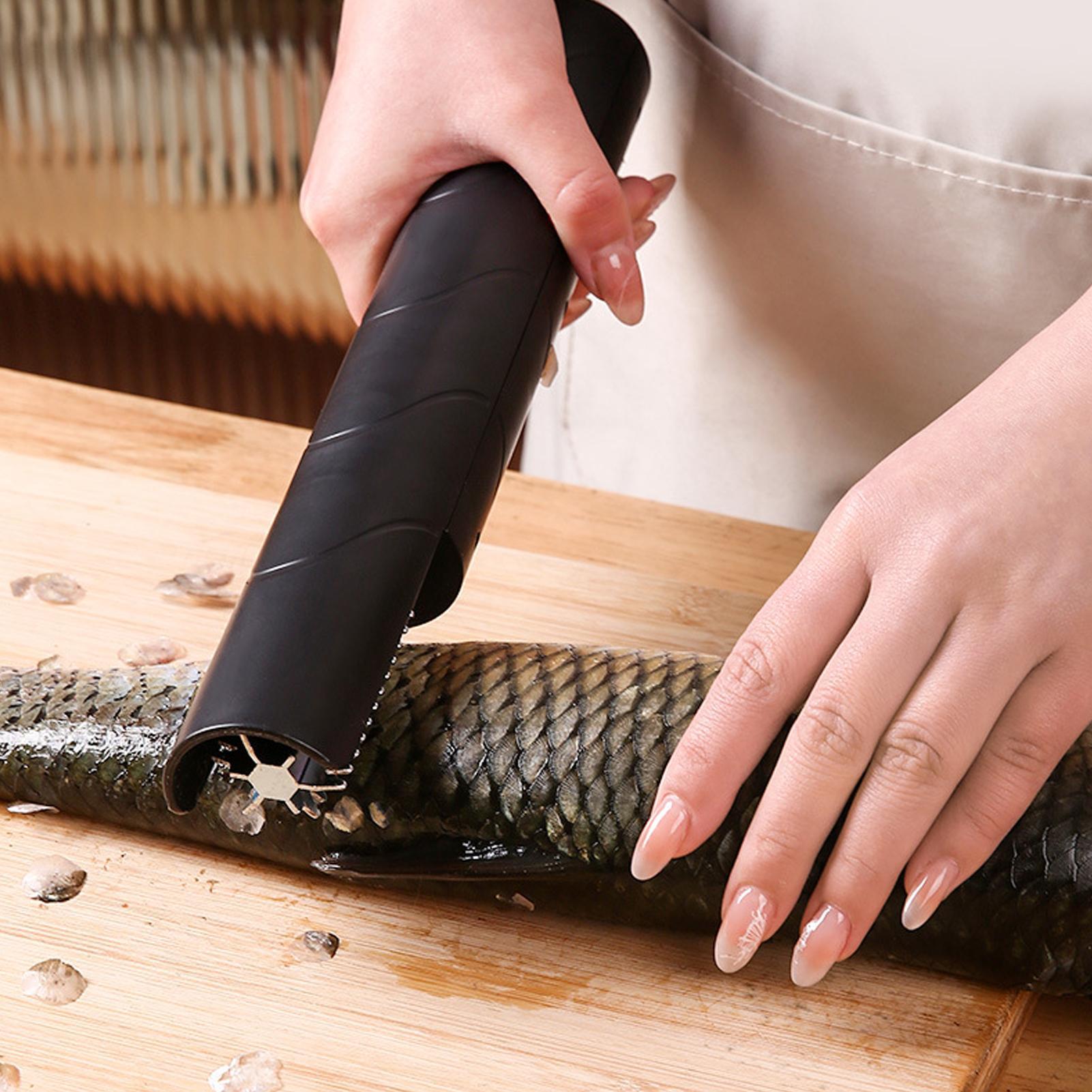 Fish Scaler Cordless Handheld  - Meal Prep Seafood ulasan dan harga