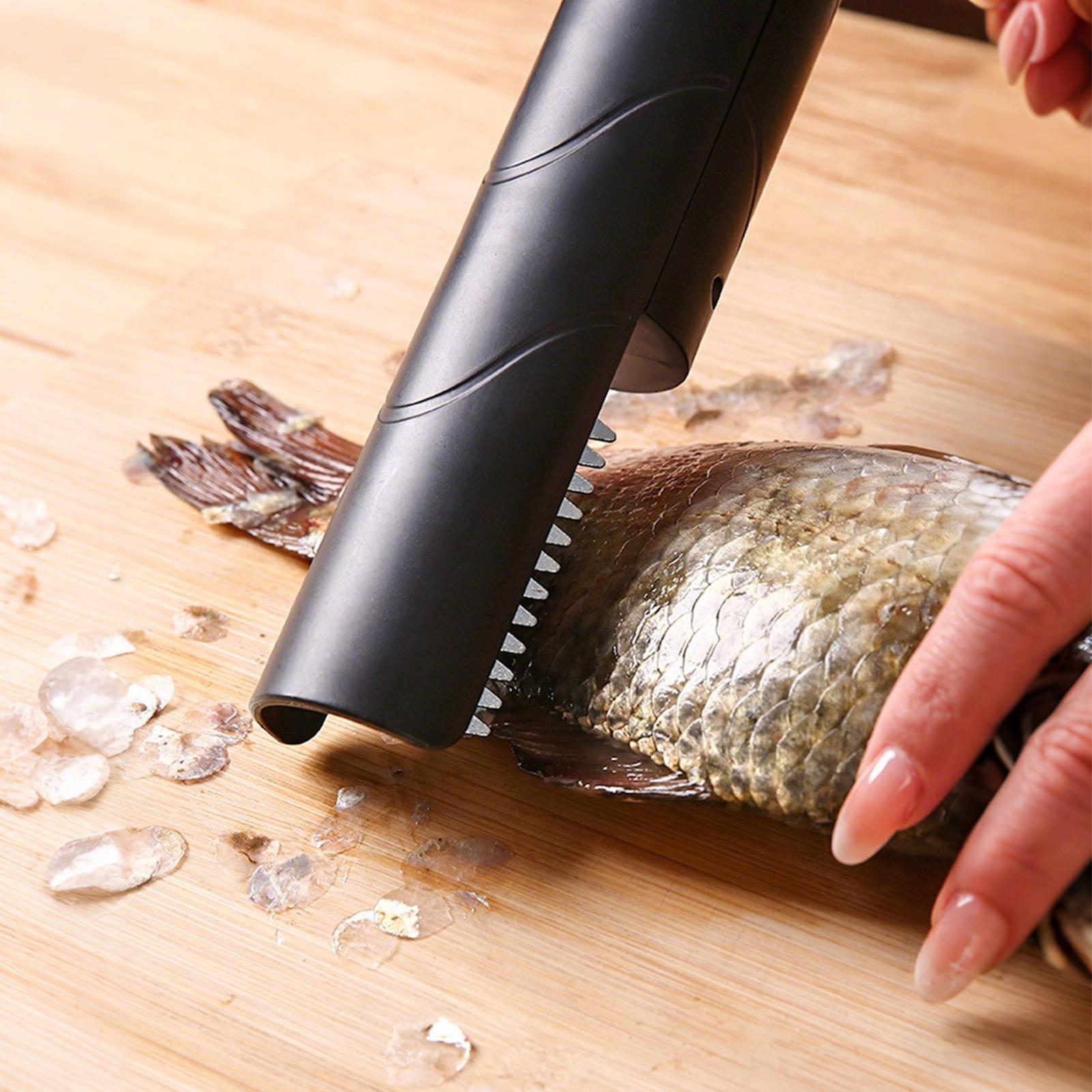 Fruit Grater Cordless Handheld - Meal Prep Seafood ulasan dan harga